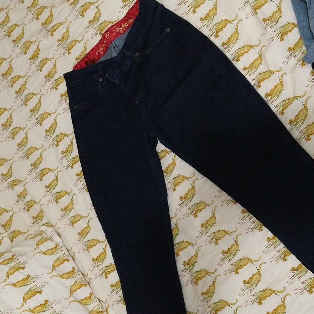 Jeans Joy Legging by Cookie Johnson size 28